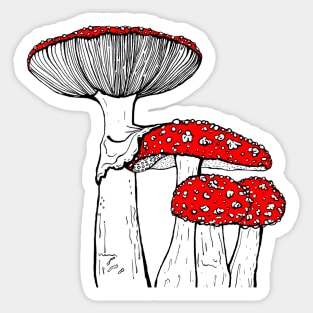 Fly agaric mushroom illustration Sticker